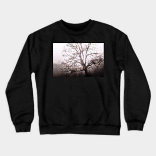 Tree skeleton in fog Crewneck Sweatshirt